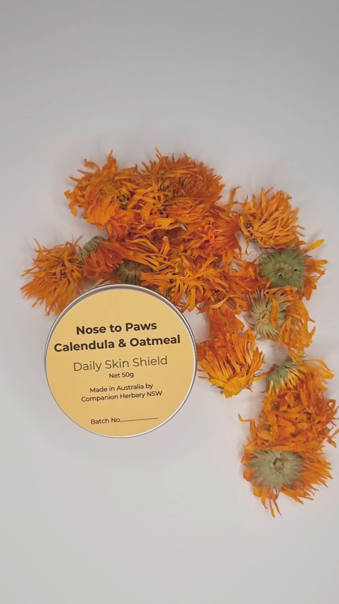 From Nose to Paws Calendula & Oatmeal Daily Skin Shield